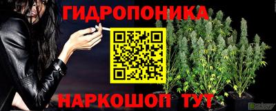 ПСИЛОЦИБИНОВЫЕ ГРИБЫ Краснодар