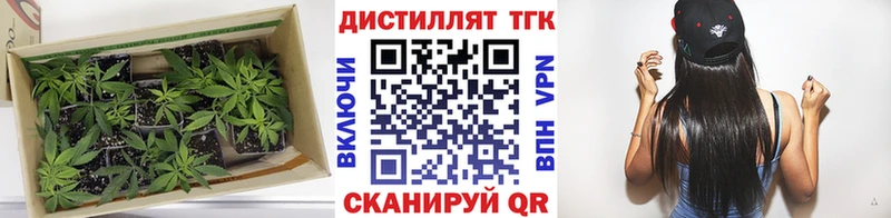 Дистиллят ТГК Wax  где можно купить наркотик  kraken ссылки  Каменск-Шахтинский 