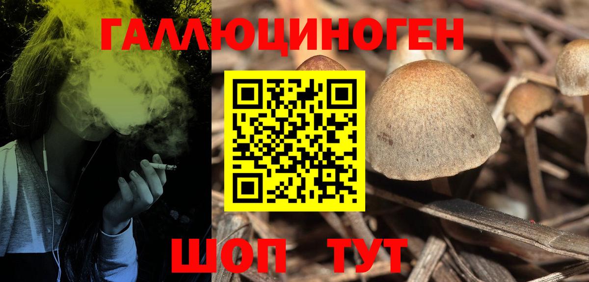 Галлюциногенные грибы прущие грибы  Вход с VPN  Каменск-Шахтинский 