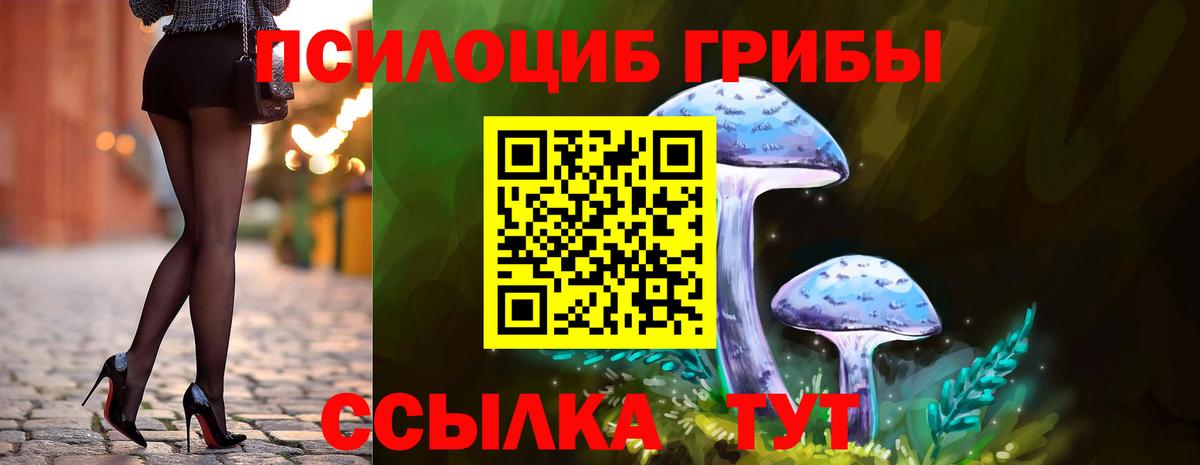 Галлюциногенные грибы ЛСД Каменск-Шахтинский